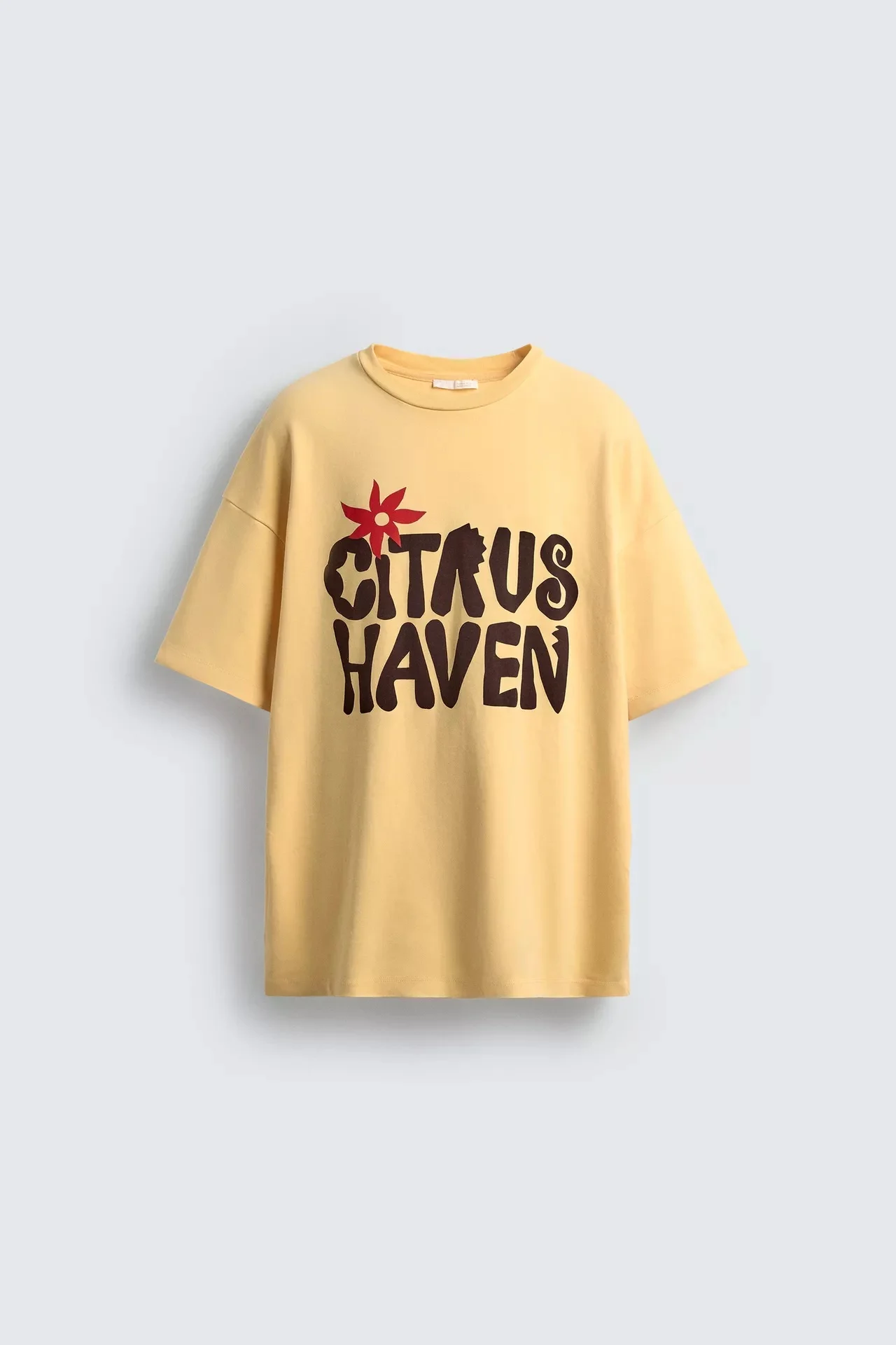 Zara  slogan print T-shirt